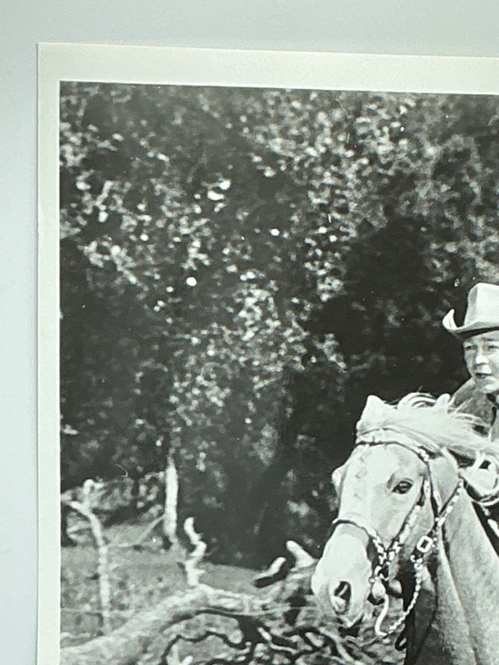 Roy Rogers & Trigger Glossy Photo Galloping Horse 8x10 Western Movie - Picture 2 of 6